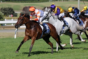 Candle In The Wind Dunell